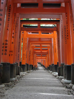 20060803-DSC00810.jpg